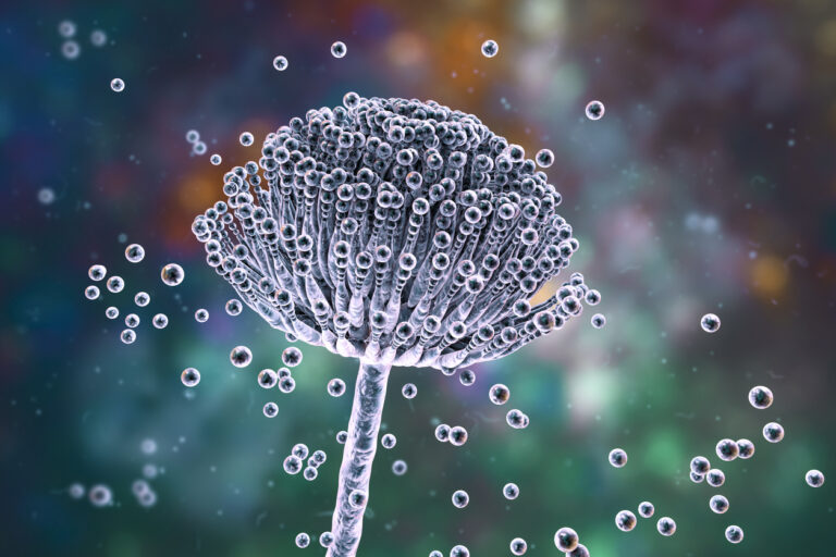 «Ein Chamäleon im CT»