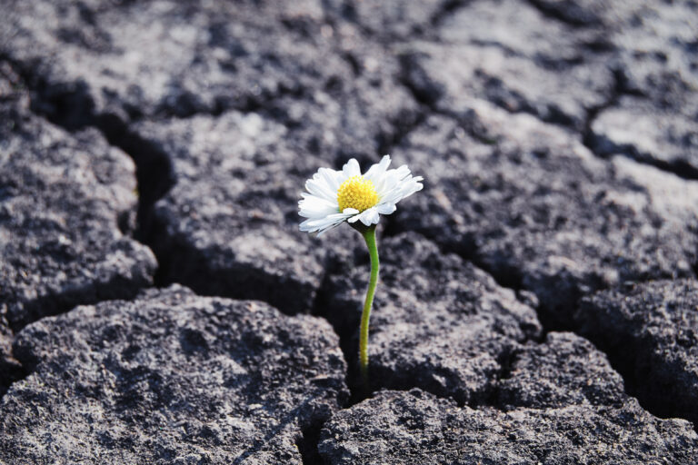 Resilienz im Kontext der Allgemeinmedizin