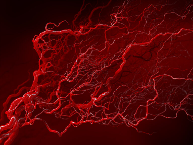 Hepatitis B hat in der Diagnostik verloren, Proteinurie gewonnen