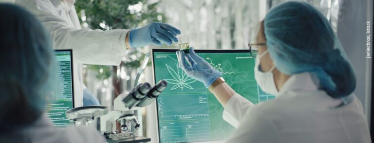Cannabinoide bei Krebserkrankungen: neue ASCO-Leitline