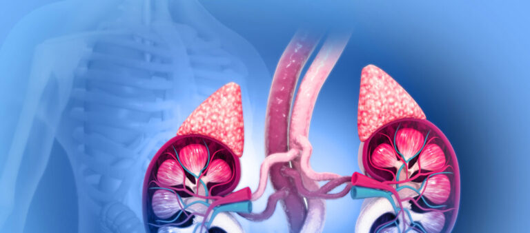 Harmloser Zufallsbefund oder behandlungsbedürftiger Tumor?