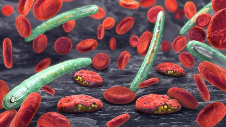 Phytotherapie im Kampf gegen parasitäre Erkrankungen