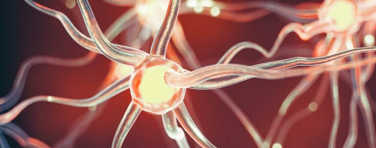 Neues zum Management der MS, Alzheimer, Parkinson, ALS und MG